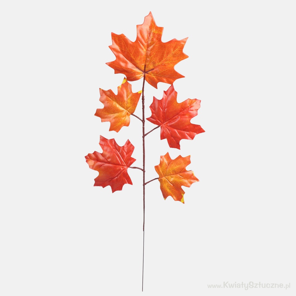 Maple, T.T. Orange F205-01