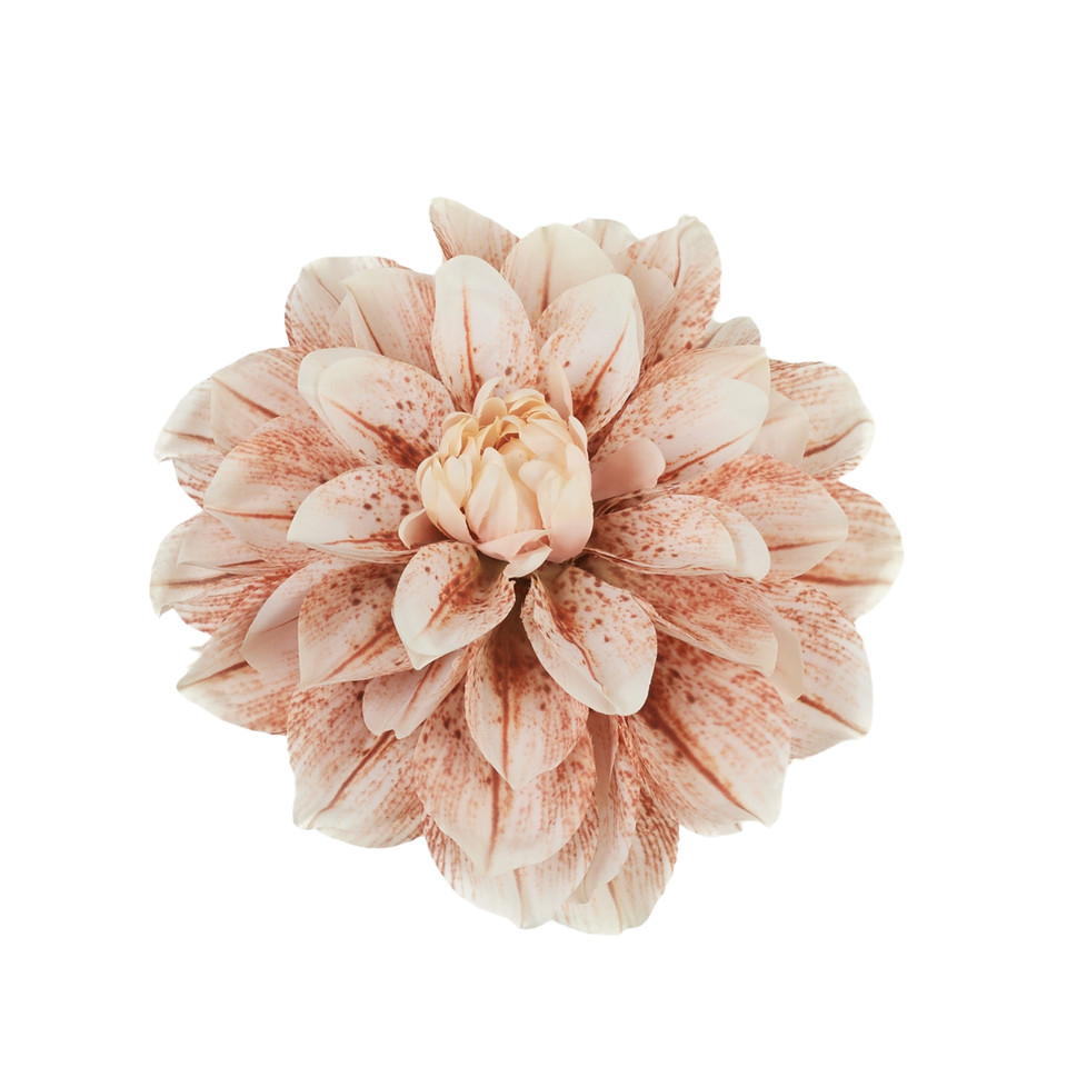 Dalia, #61 B32-61