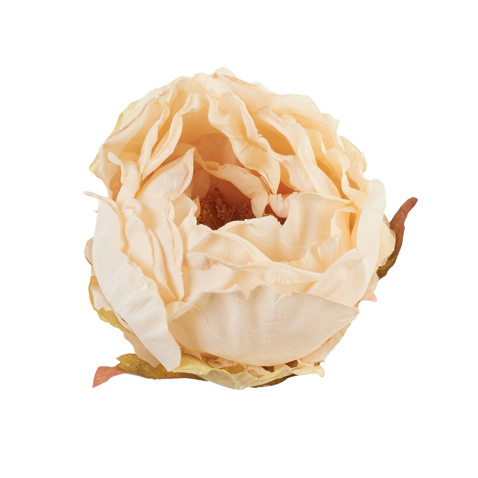 Peonia - główka, 02 peach B138-02
