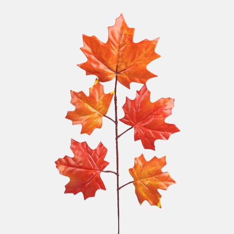 Maple F205