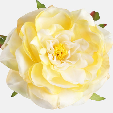 Peony W540