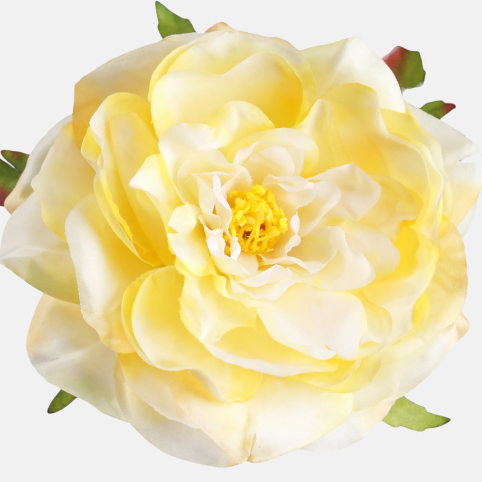 Peony, Yellow W540-02