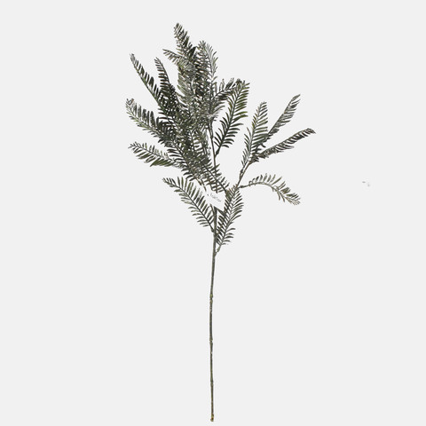 Yew, Green F157-02