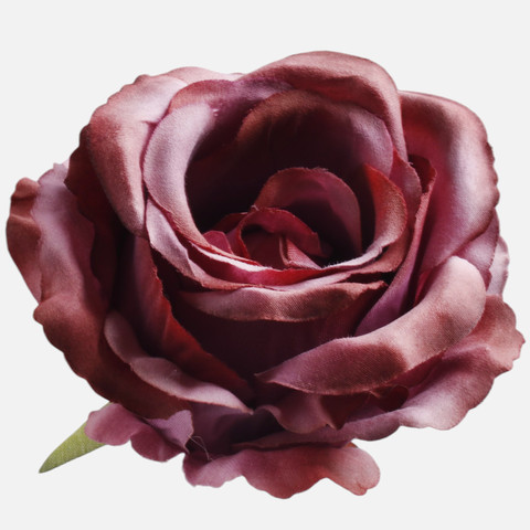 Rose, Autumn T.T. Burgundy W697-09