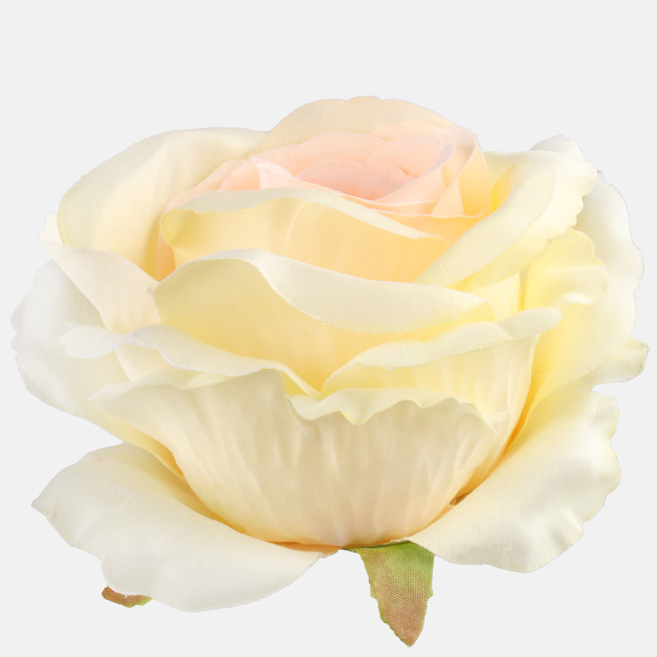 Rose, Yellow W697-02