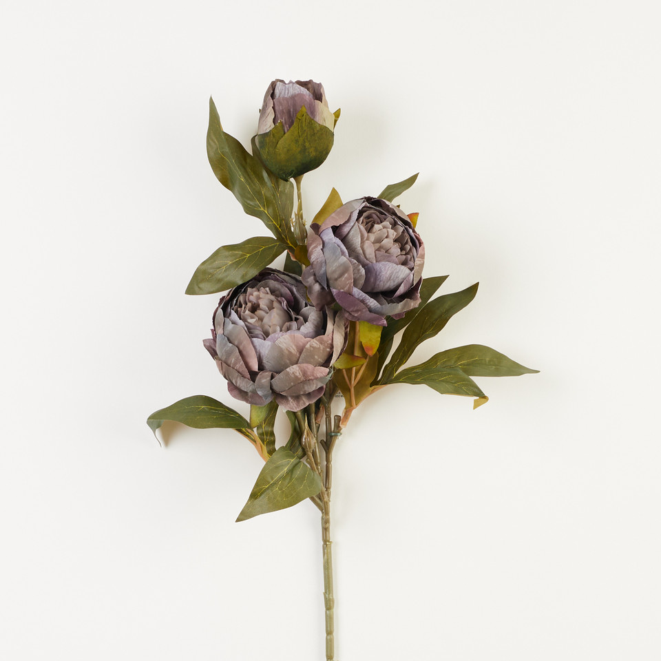 Peonia – gałązka x3, 26 B38-26