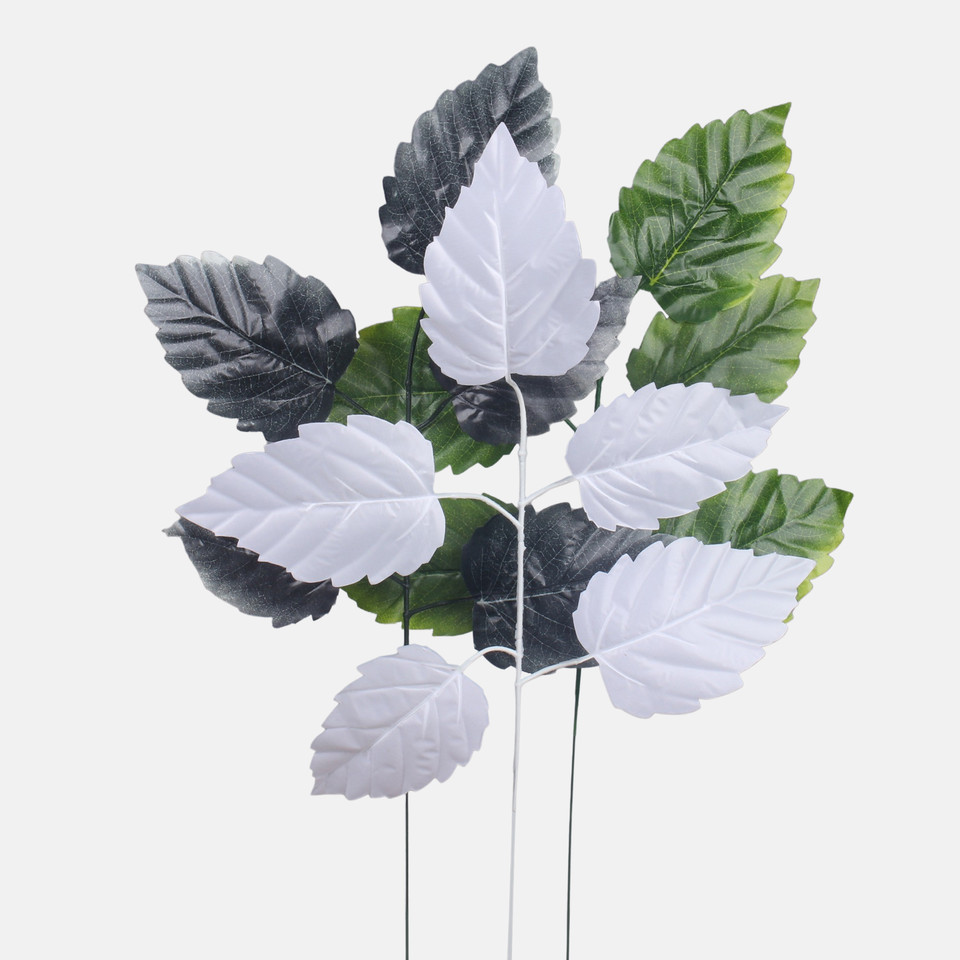 Elm, Green F244-01