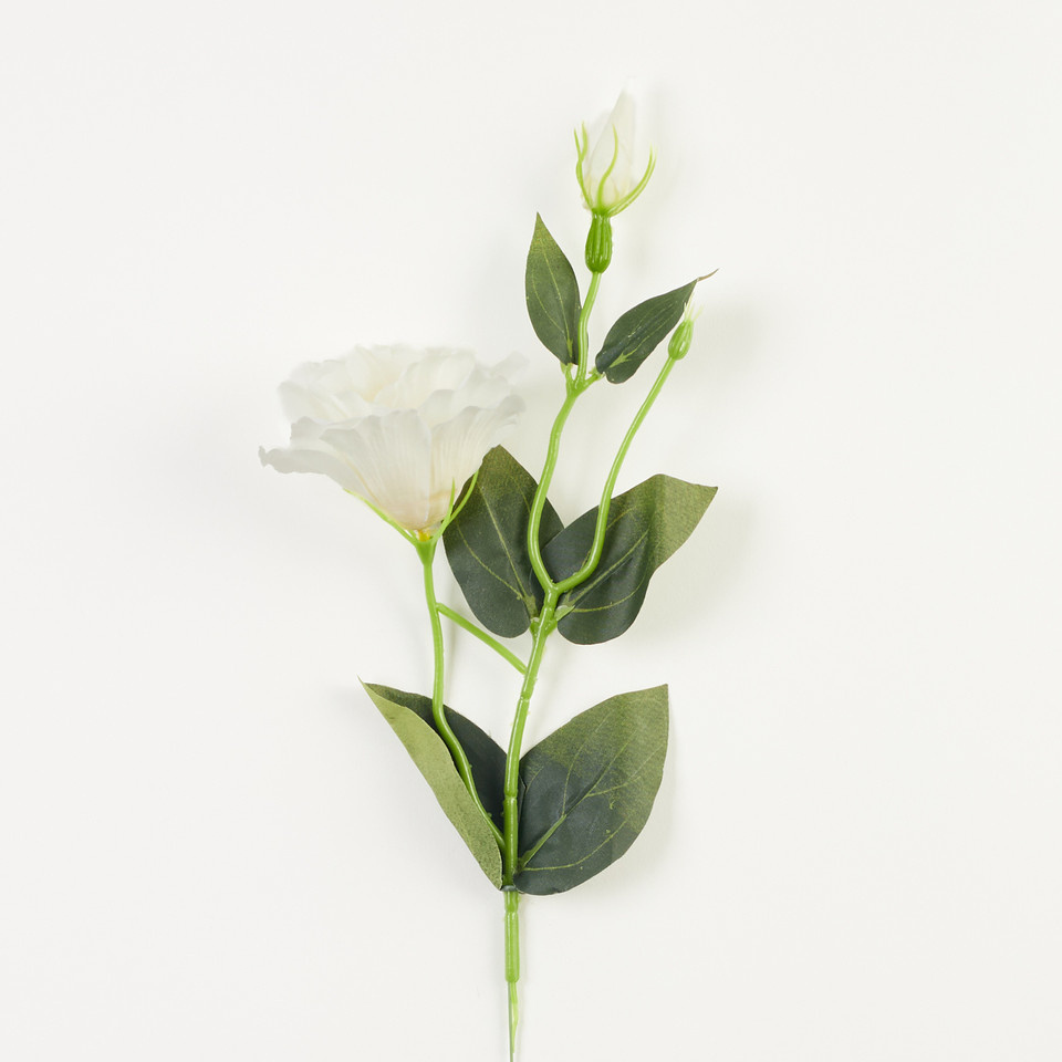 Eustoma – gałązka, cream B179-05