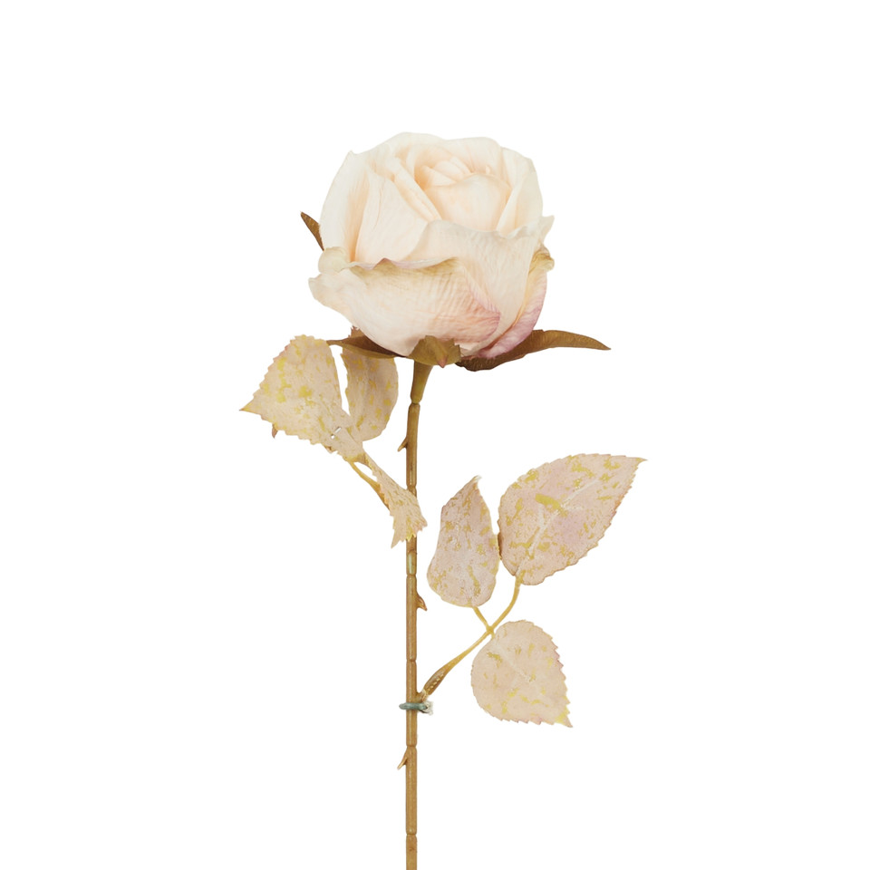 Róża - gałązka 50cm, 09 cream AL136-09