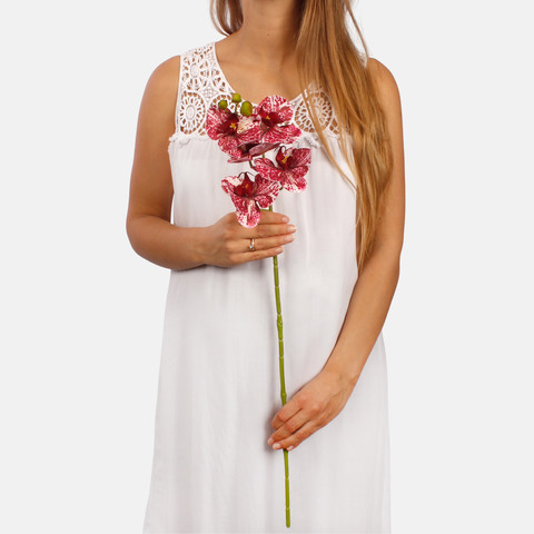 Orchid L513L (Product size)