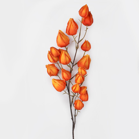 Chinese Lantern, Orange L876-02