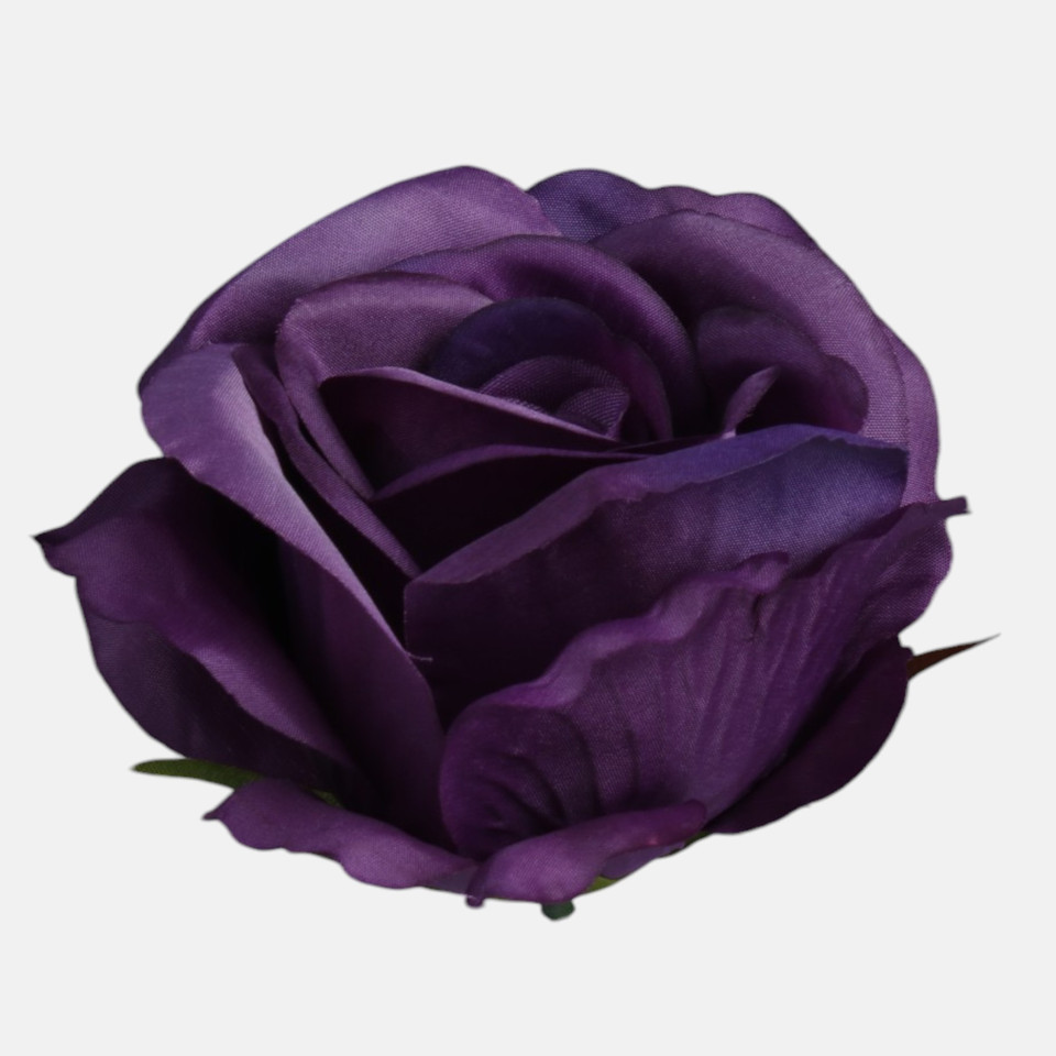 Róża, Dk. Lilac W005-30