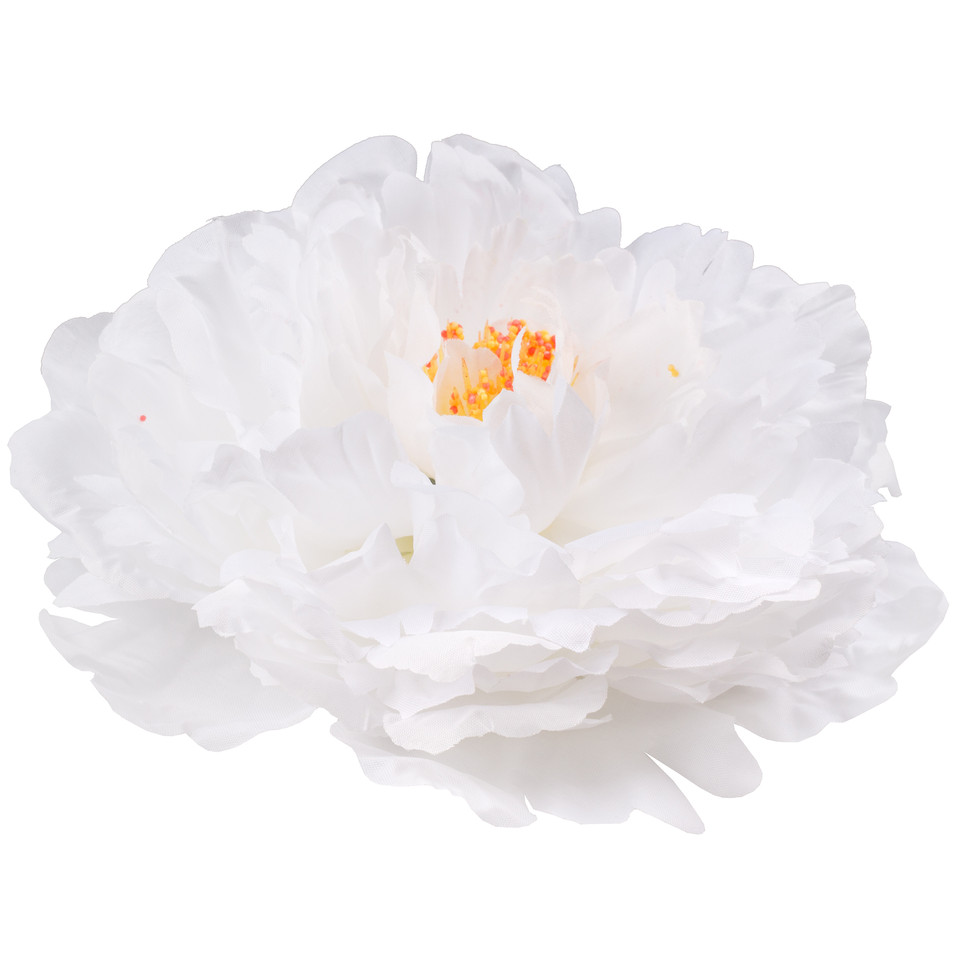 Peony, White W615-07