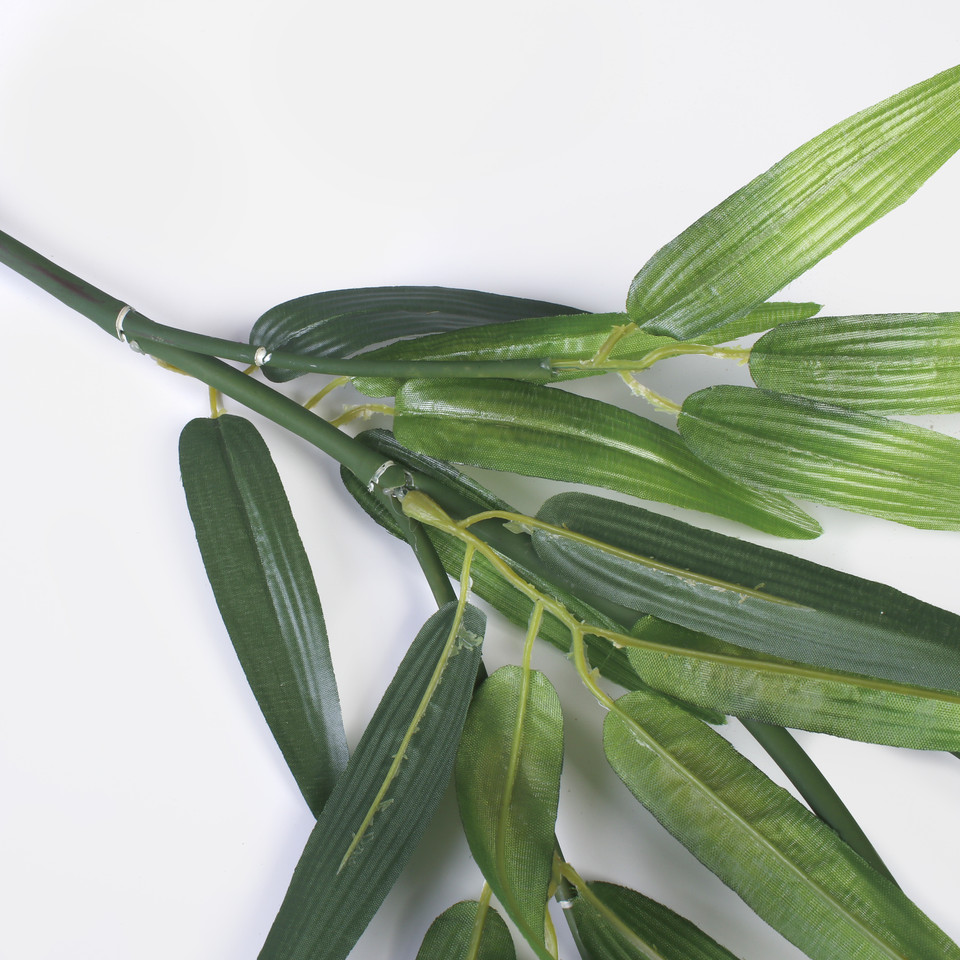 Bamboo, Green A661