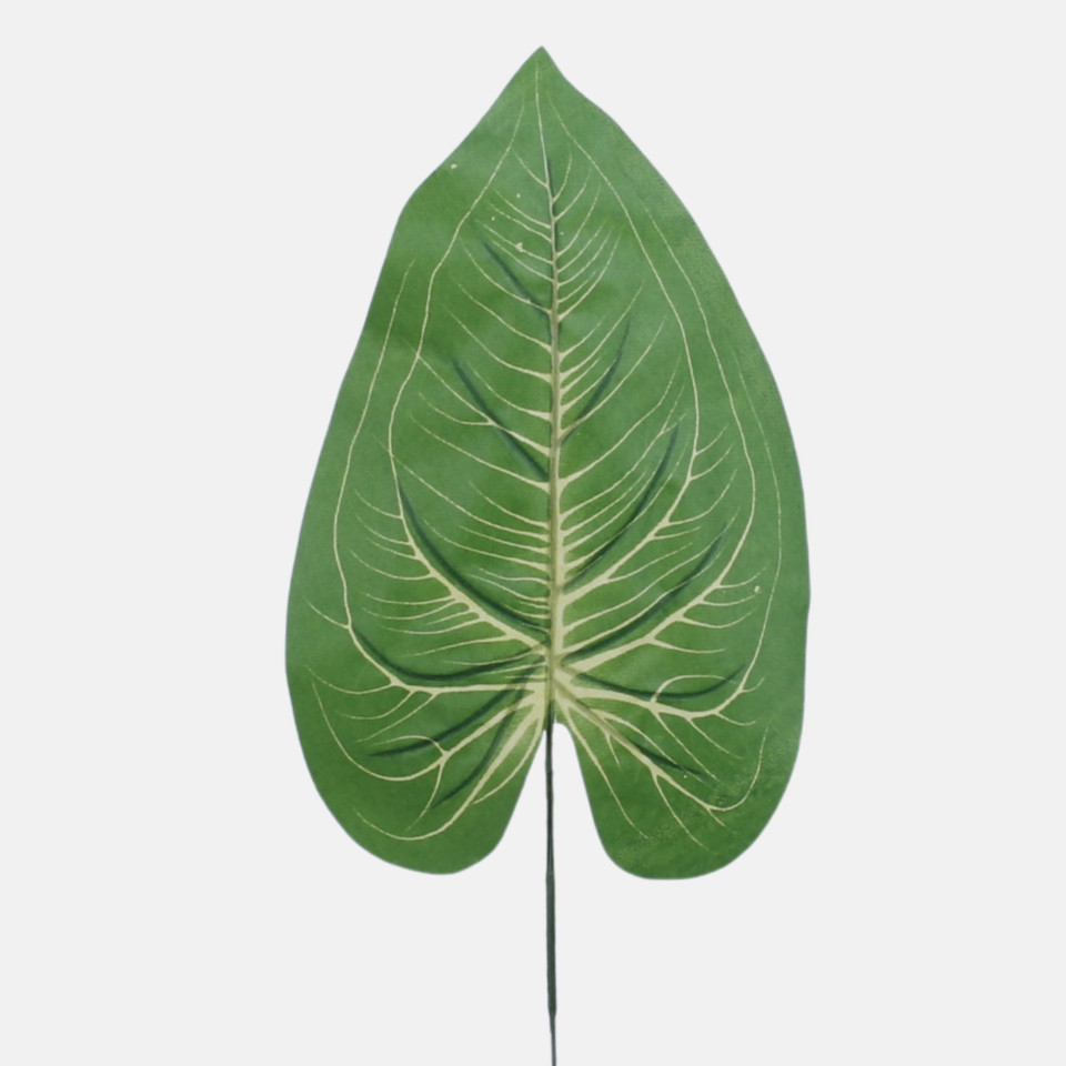 Liść pothosu, Green H020B-01
