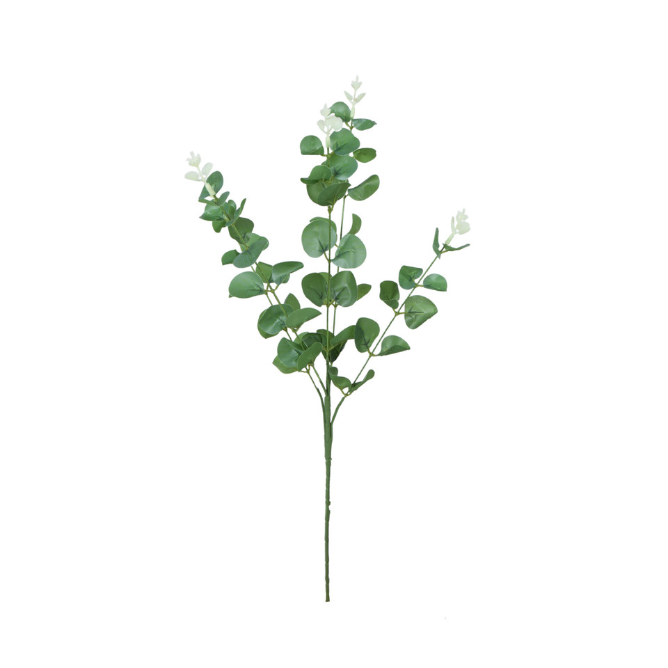 Eukaliptus - gałązka 62 cm, cream/green R667-00