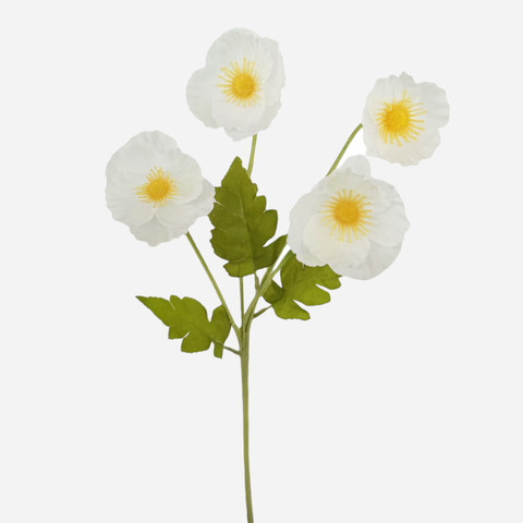 Anemone x 4, White G508-01