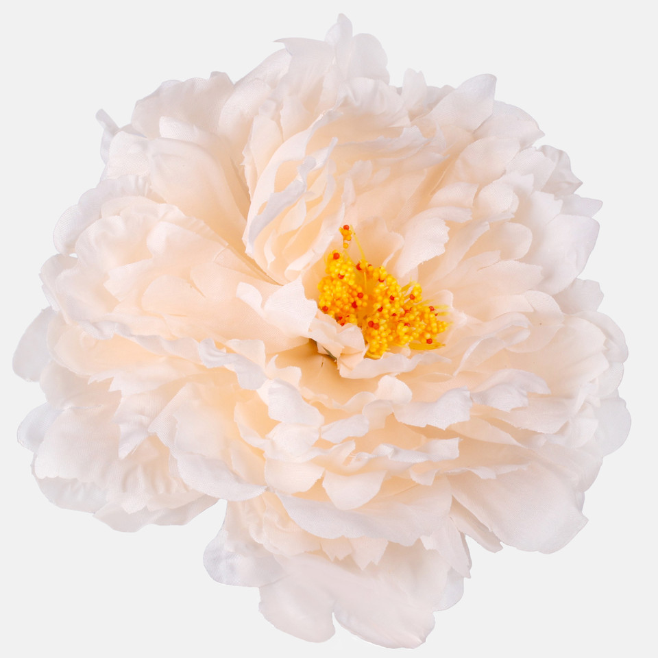 Peony, Lt. Peach W615-08
