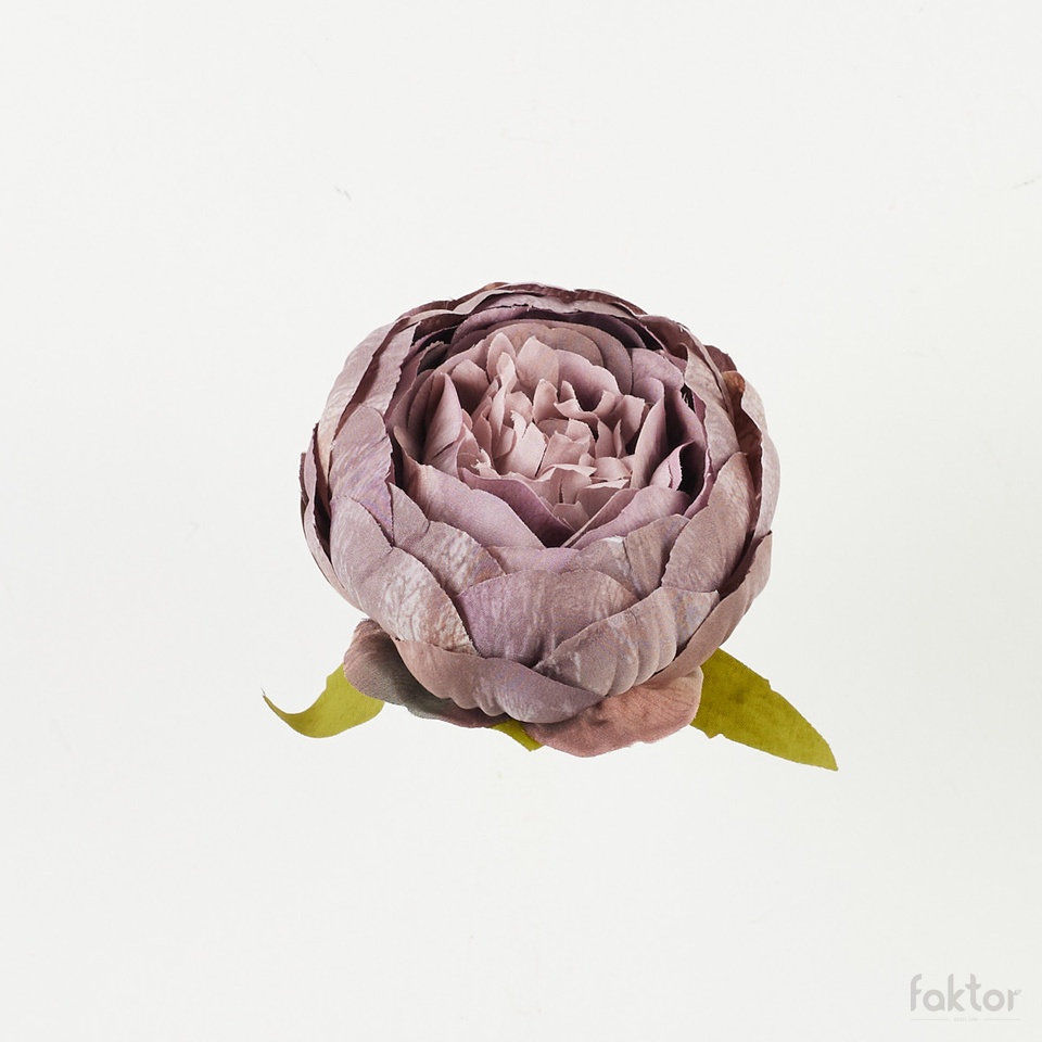 Peonia – główka, 20 B39-20