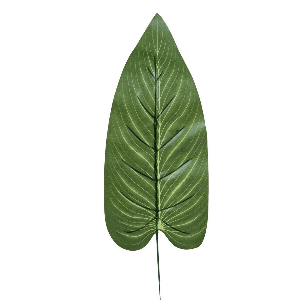 Liść anturium, Green L496-00
