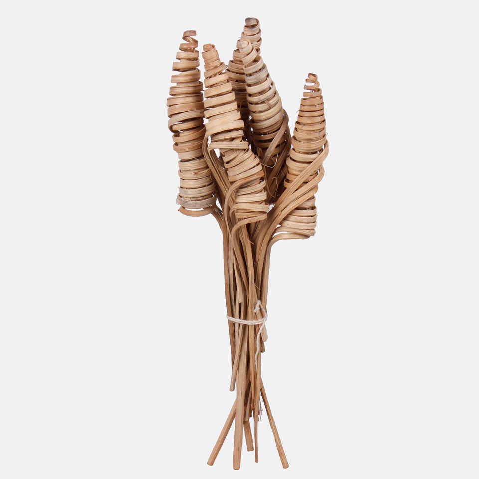 Cane cone mini Y029