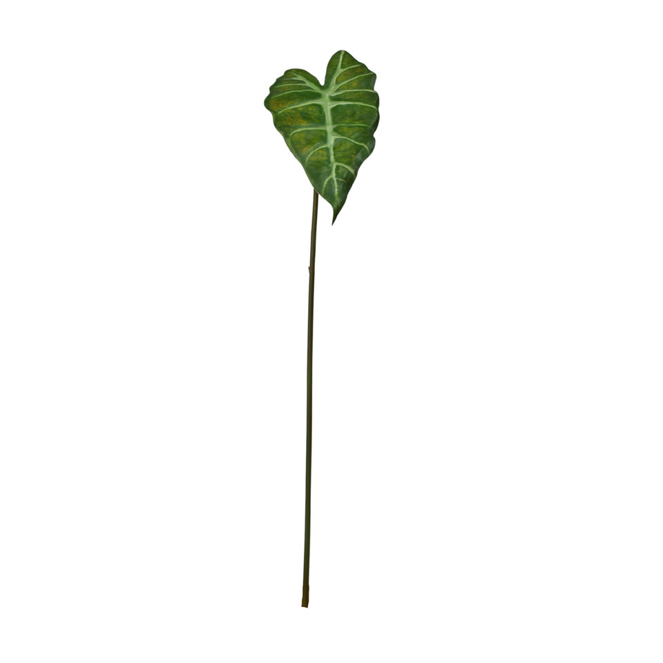 Alokazja - liść  60 cm, green LL001-01