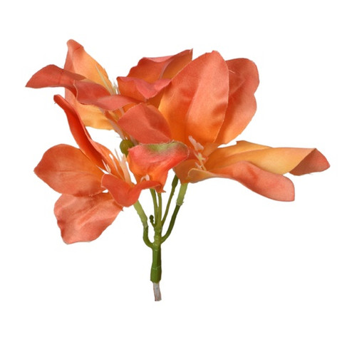 Amarylis, Orange W168-05