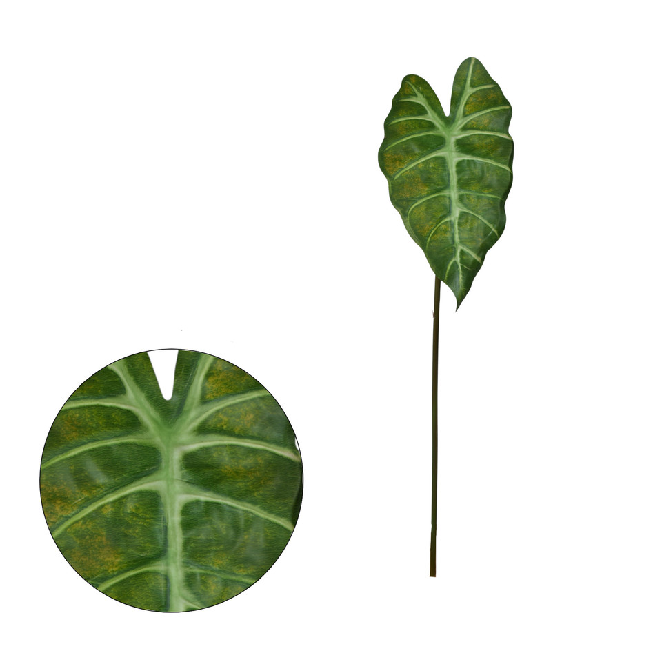 Alokazja - liść  60 cm, green LL001-01