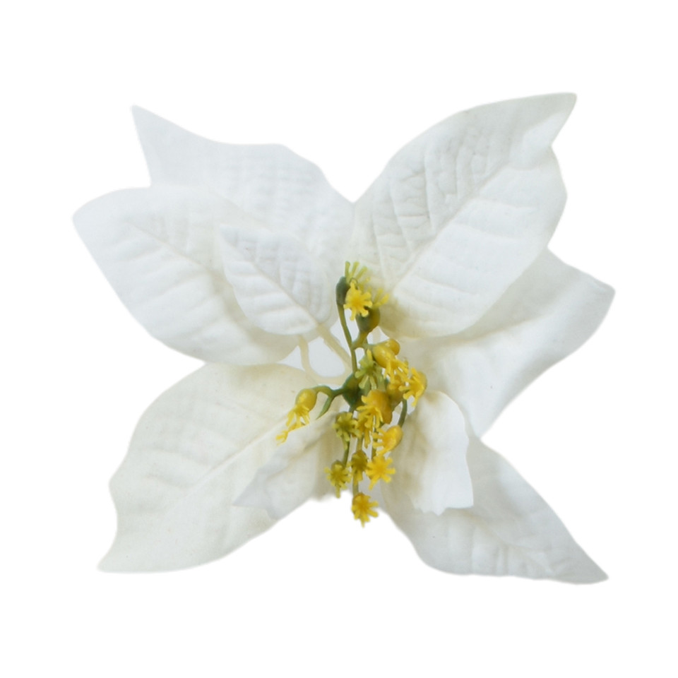 Poinsecja, White X311-00