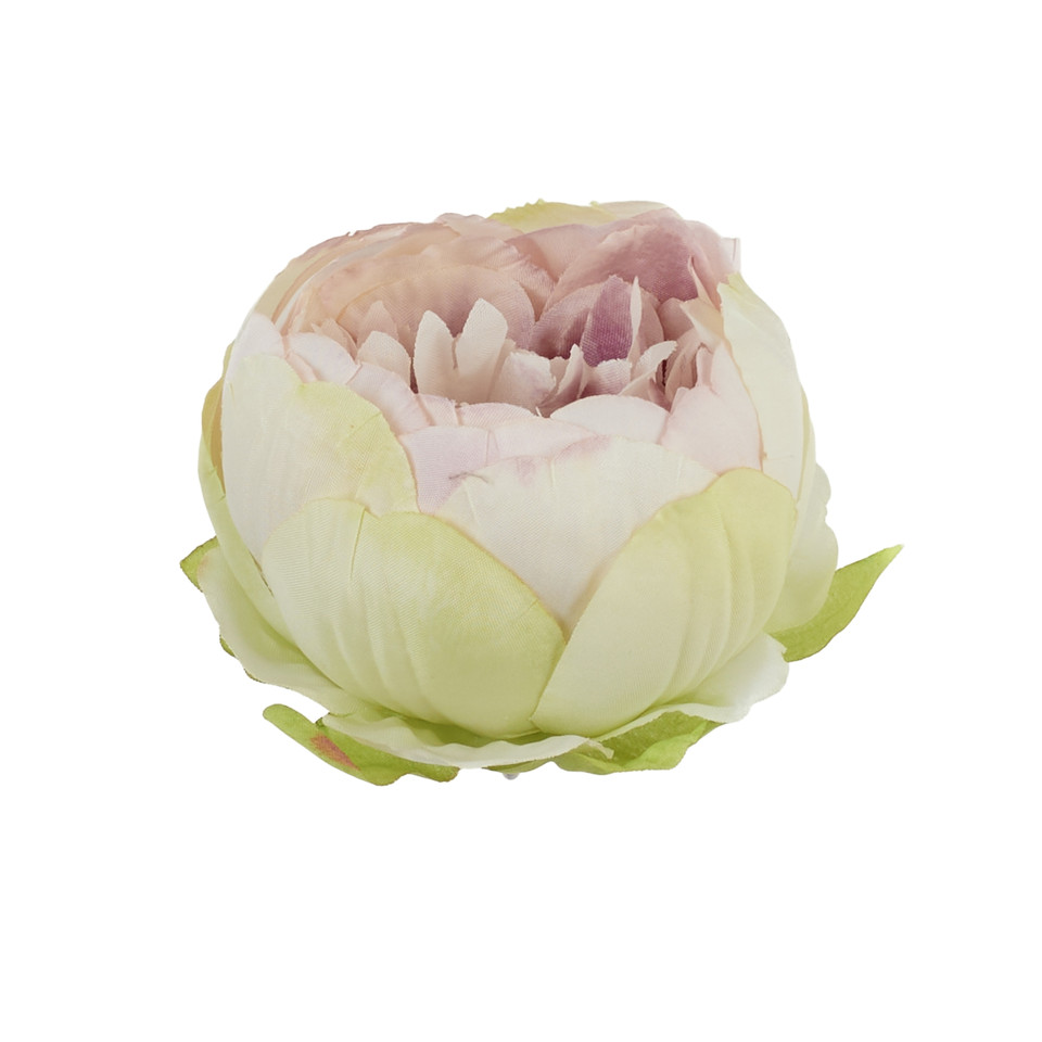 Peonia – główka, 314A aut lt.lilac/apple B50-314A