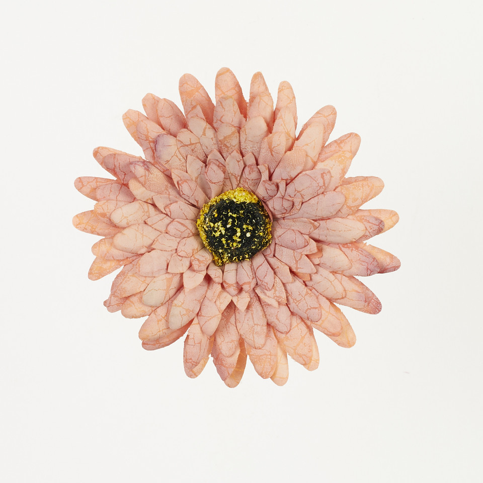 Gerbera – główka drukowana, lt.brown B75-11