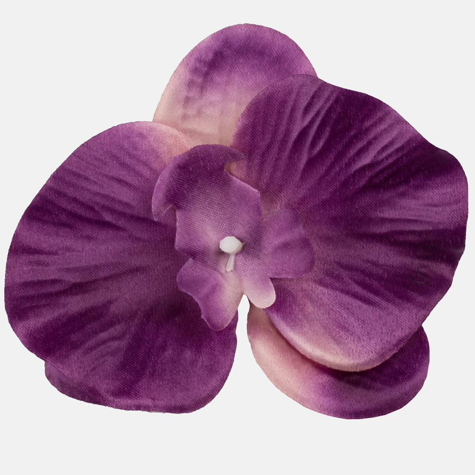 Storczyk satynowy, Dk. Purple W665-07
