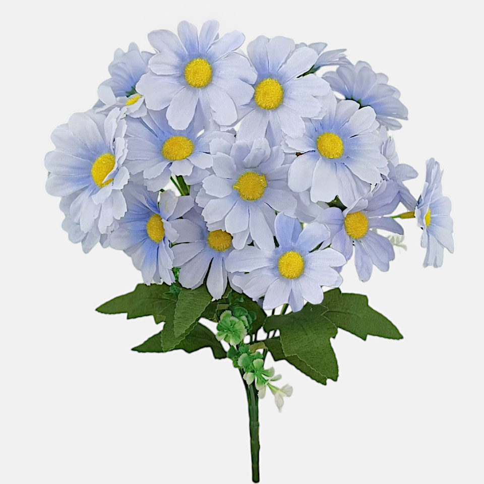 Stokrotka x 7, Lt. Blue QA278-05