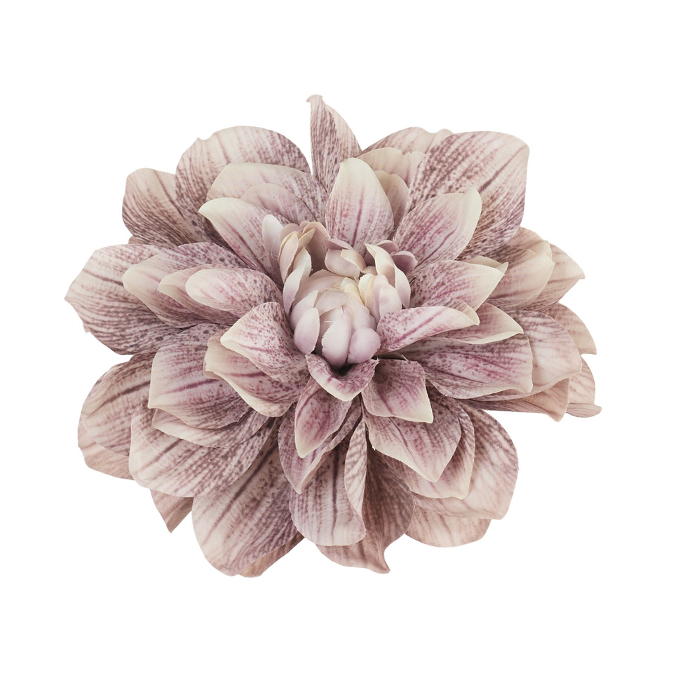 Dalia, #36 B32-36A
