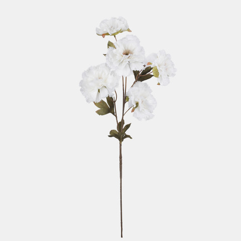 Poppy, White L906-01