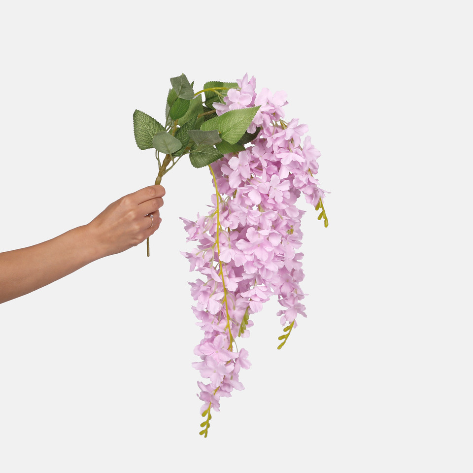 Wisteria x 5, Lt. Pink K079-02