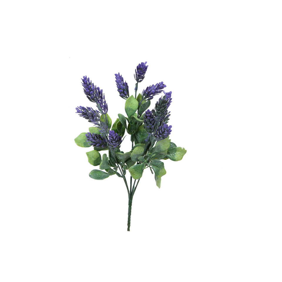 Chmiel - bukiet 30 cm, m R575-m