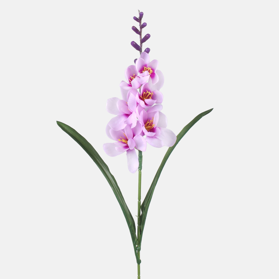 Freesia, Mix 1 G469-01