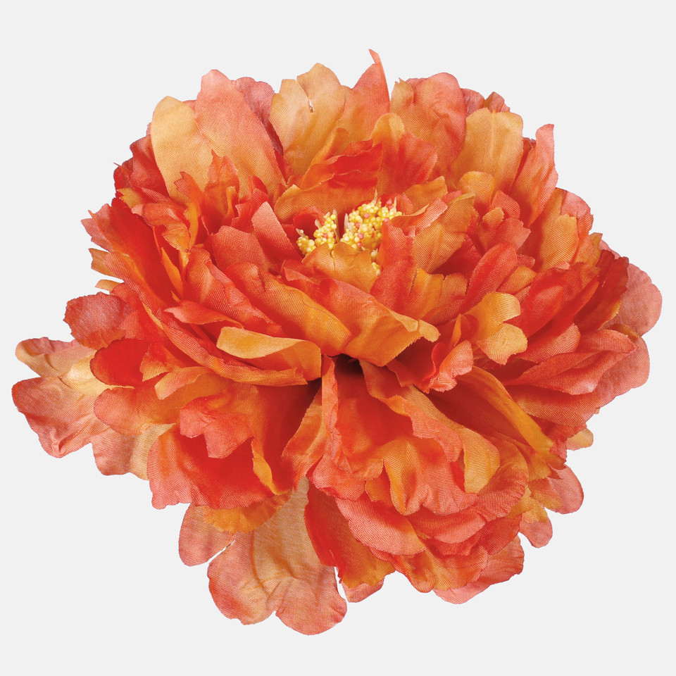 Peonia, Tea W615-11