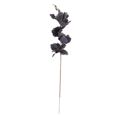 Gladiolus - twig, 30 black AL181-29