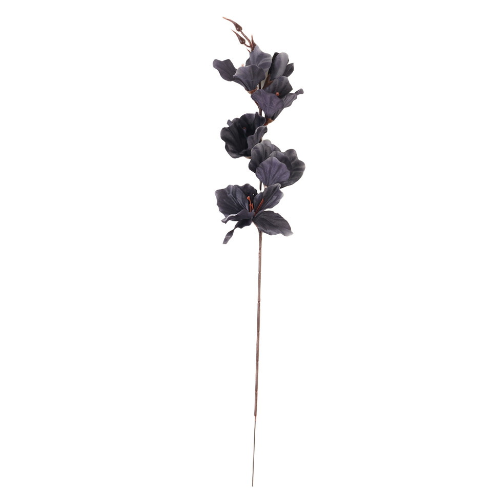 Mieczyk - gałązka 56 cm, 30 black AL181-29