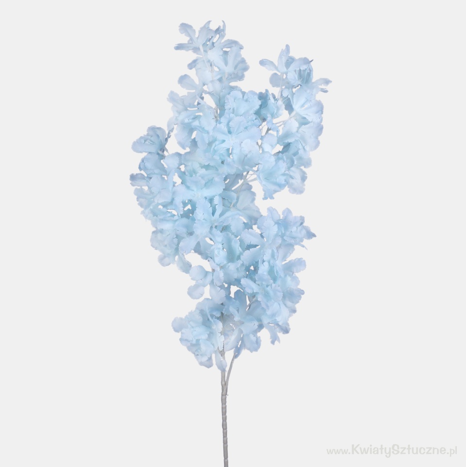 Cherry, Lt. Blue L320-05