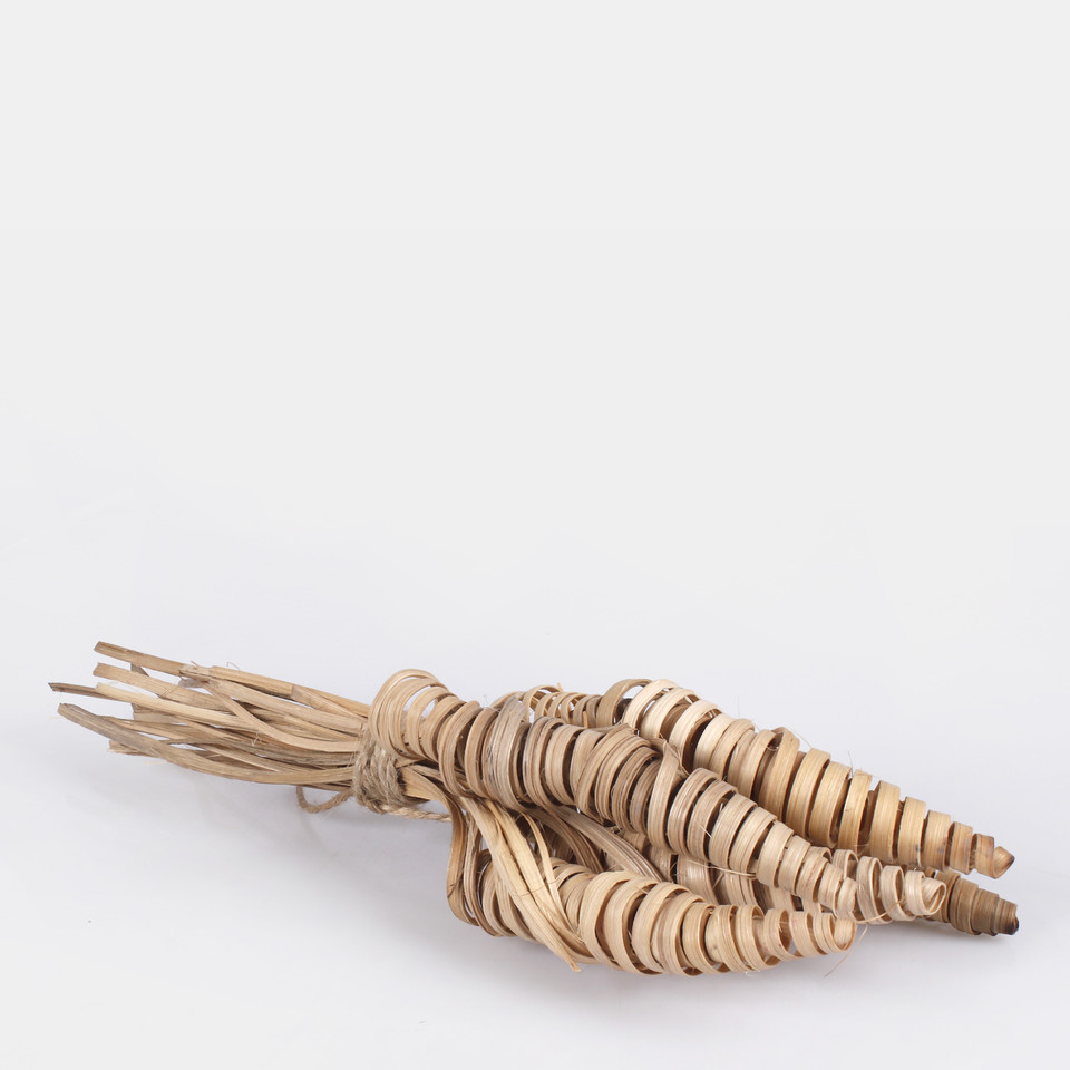 Cane cone mini Y029