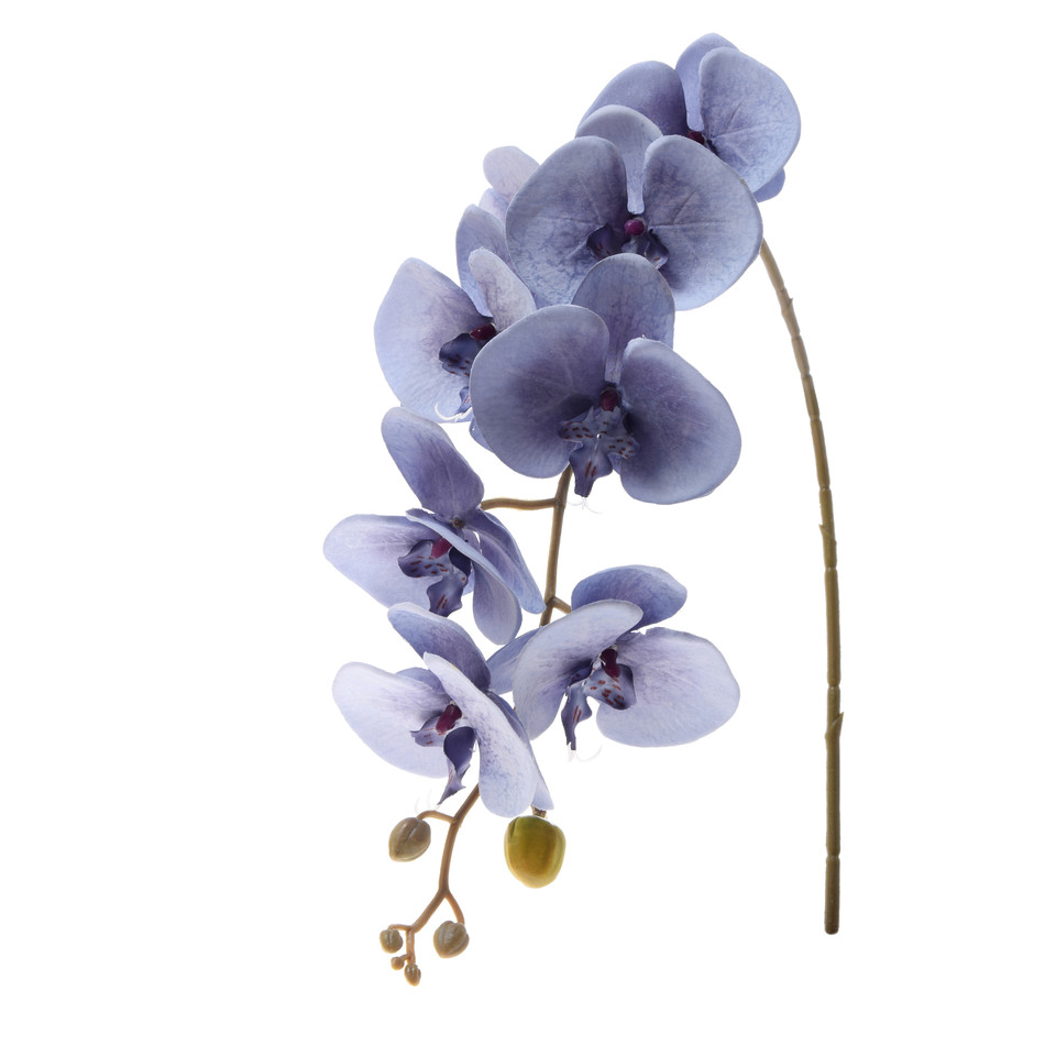 Storczyk - gałązka satynowa 92 cm, lt. blue K218-13