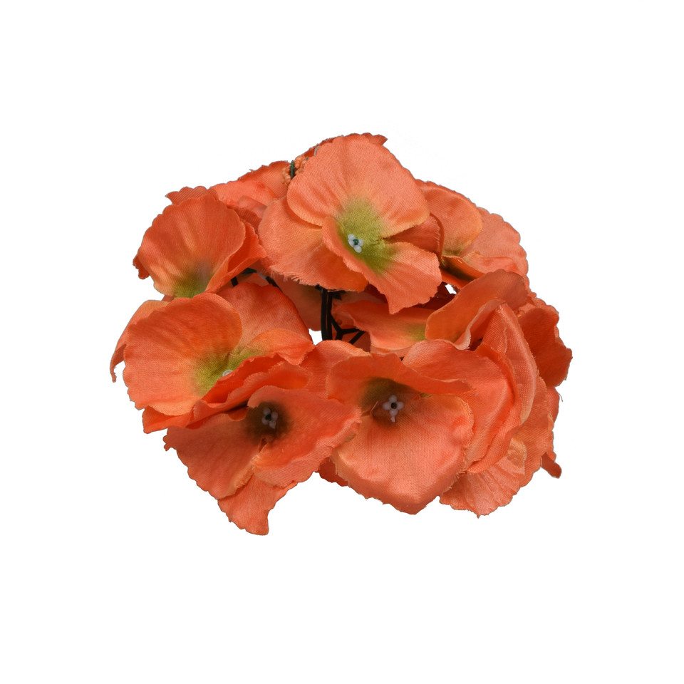 Hortensja, Autumn Orange W152-26