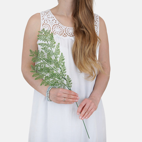 Fern A733 (Product size)