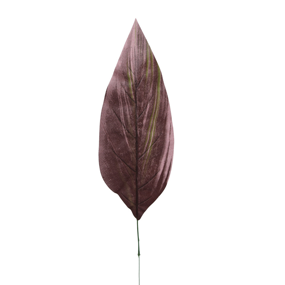 Kordylina - liść 64 cm L563-00