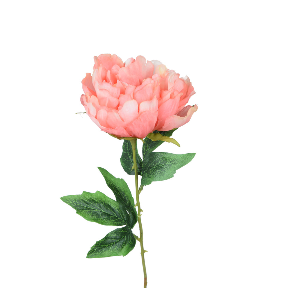 Peonia - gałązka 57 cm, m K417-m