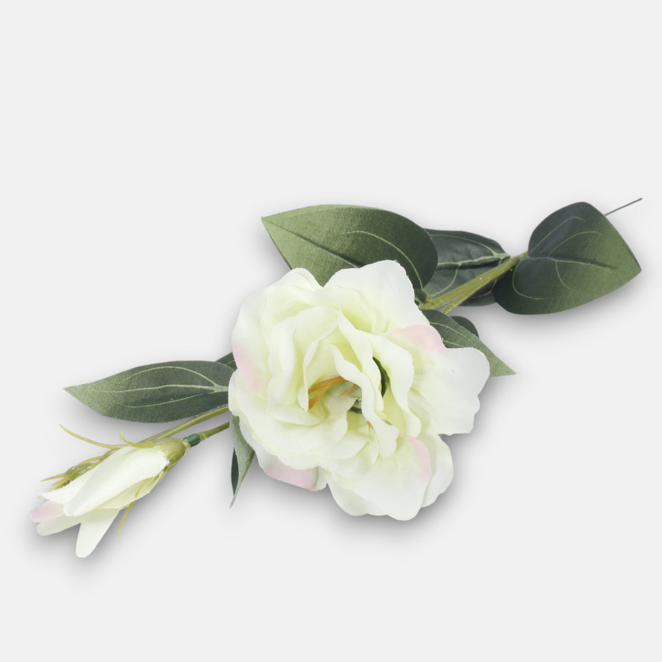 Eustoma, Lt. Green G426-04