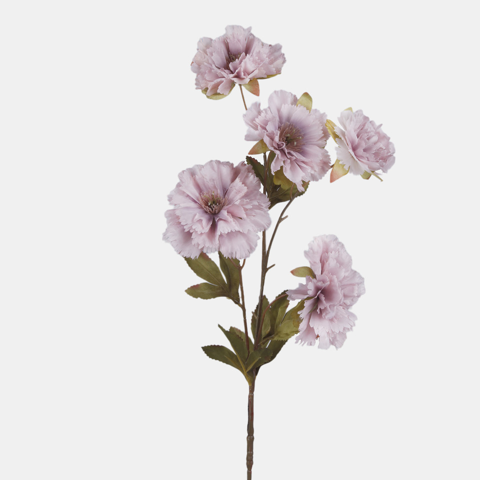 Goździk x 5, Pink L906-03